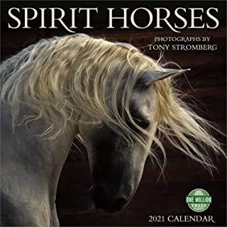 Spirit Horses 2021 Wall Calendar: Photographs by Tony Stromberg