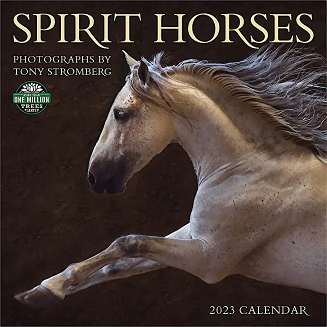 Spirit Horses 2023 Wall Calendar