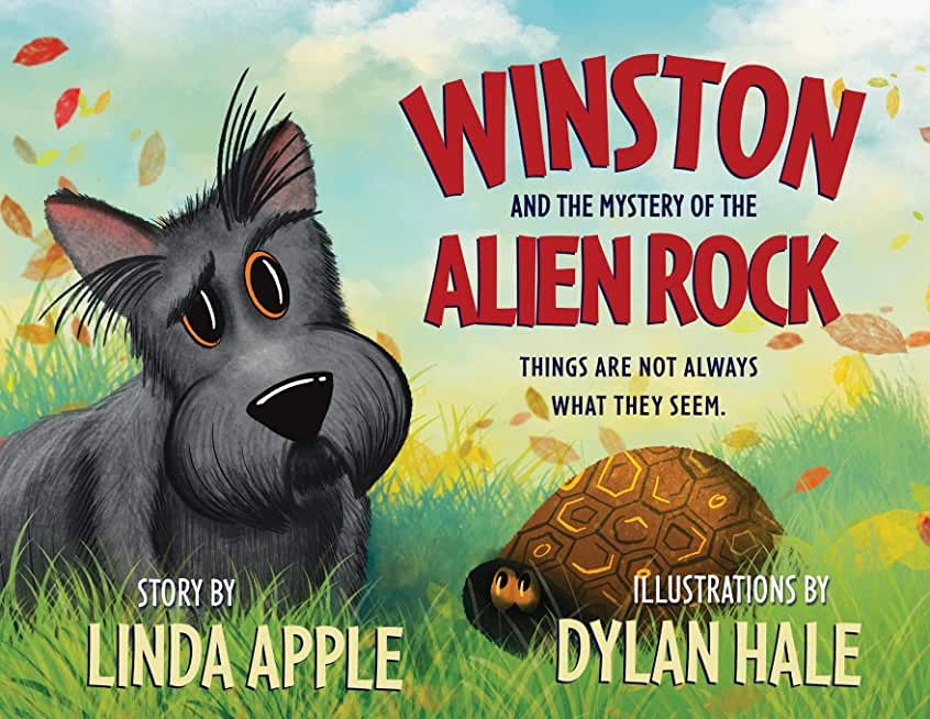 Winston and the Mystery of the Alien Rock