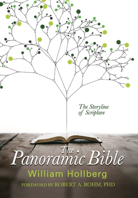 The Panoramic Bible: The Storyline of Scripture