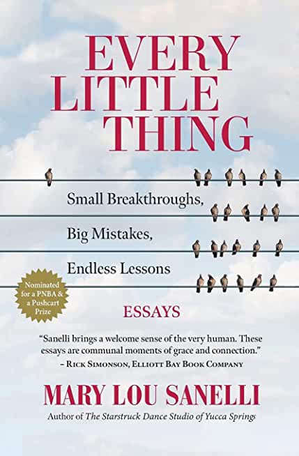 Every Little Thing: Small Breakthroughs, Big Mistakes, Endless Lessons