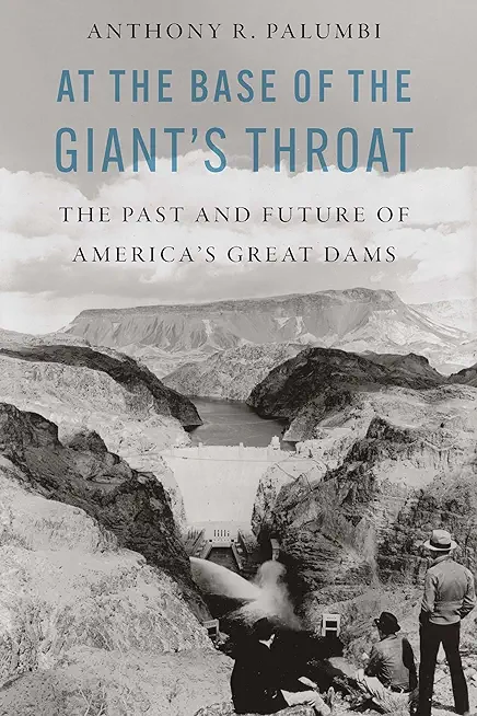 At the Base of the Giant's Throat: The Past and Future of America's Great Dams