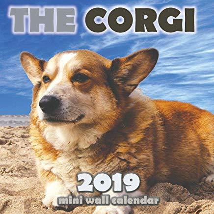 The Corgi 2019 Mini Wall Calendar