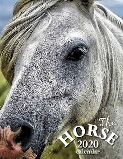The Horse 2020 Calendar