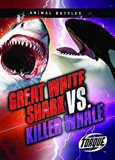 Great White Shark vs. Killer Whale