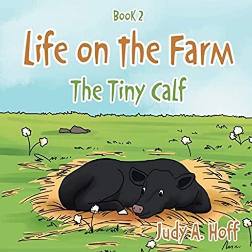 Life on the Farm: The Tiny Calf