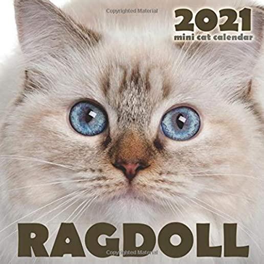 Ragdoll 2021 Mini Cat Calendar
