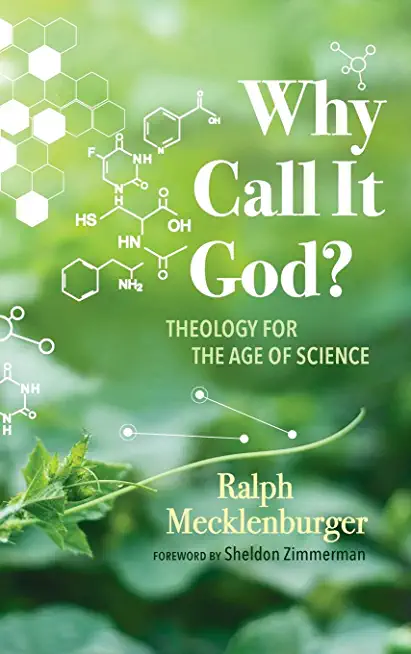 Why Call It God?: Theology for the Age of Science