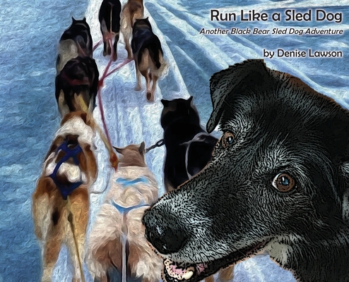 Run Like a Sled Dog: Another Black Bear Sled Dog Adventure