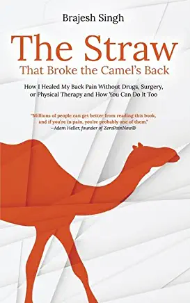 The Straw That Broke the Camel's Back: How I Healed My Back Pain Without Drugs, Surgery, or Physical Therapy and How You Can Do It Too