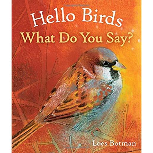 Hello Birds, What Do You Say?