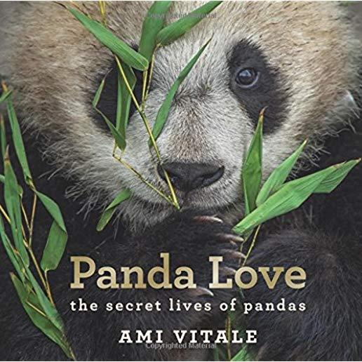 Panda Love: The Secret Lives of Pandas
