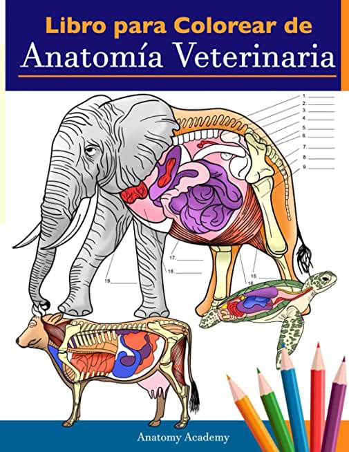 Libro para colorear de anatomÃ­a veterinaria: Libro de trabajo para colorear de autoevaluaciÃ³n de fisiologÃ­a animal para estudiar y relajarse Un regalo