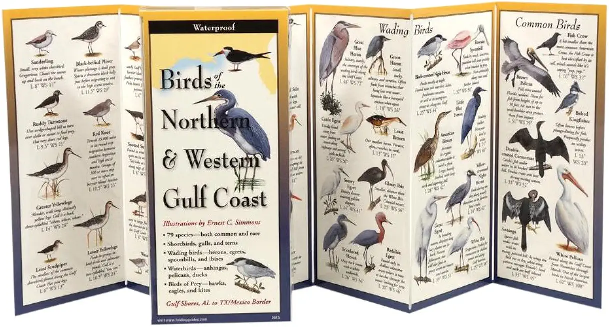 Birds of the Northern & Western Gulf Coast
