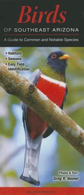 Birds of Southeast Arizona: A Guide to Common & Notable Species