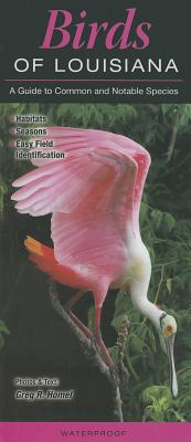 Birds of Louisiana: A Guide to Common & Notable Species