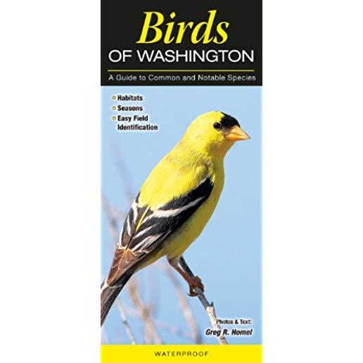 Birds of Washington: A Guide to Common & Notable Species