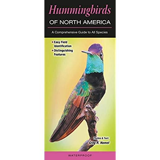 Hummingbirds of North America: A Comprehensive Guide to All Species