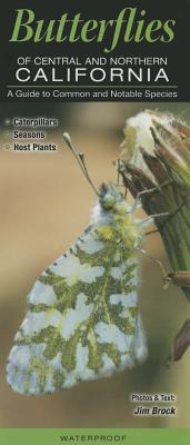 Butterflies of Central & Northern California: A Guide to Common & Notable Species
