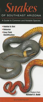 Snakes of Southeast Arizona: A Guide to Common & Notable Species