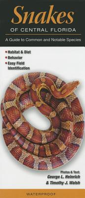 Snakes of Central Florida: A Guide to Common & Notable Species