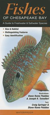 Fishes of Chesapeake Bay: A Guide to Freshwater & Saltwater Species