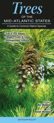 Trees of the Mid-Atlantic States: A Guide to Common Native Species