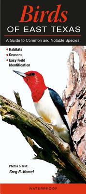 Birds of East Texas: A Guide to Common & Notable Species
