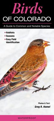 Birds of Colorado: A Guide to Common and Notable Species