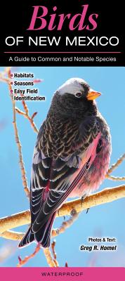 Birds of New Mexico: A Guide to Common and Notable Species