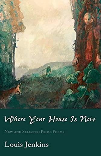 Where Your House Is Now: New and Selected Prose Poems