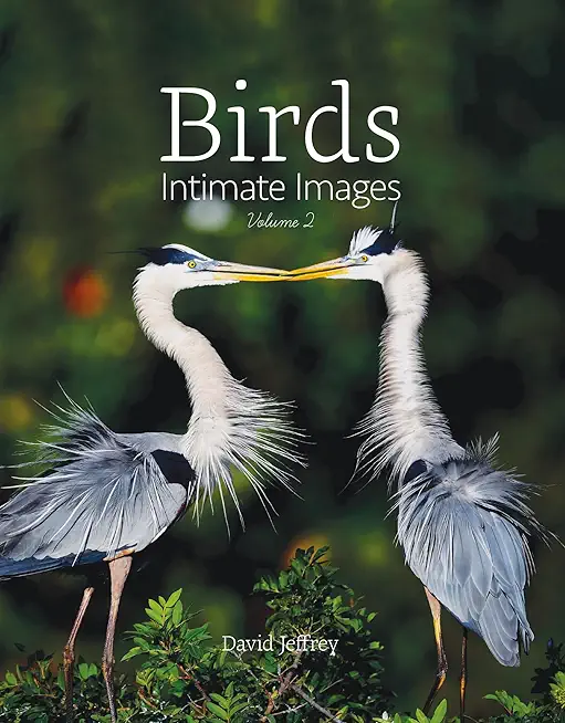Birds: Intimate Images Volume 2