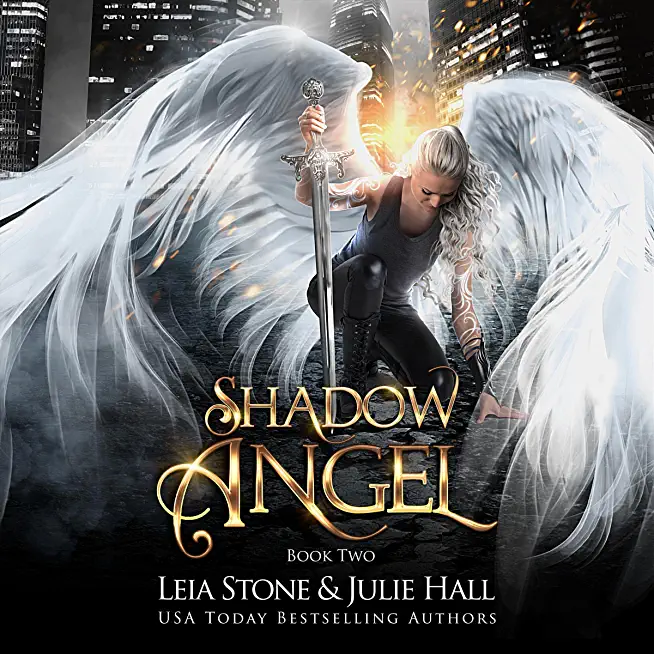 Shadow Angel: Book Two