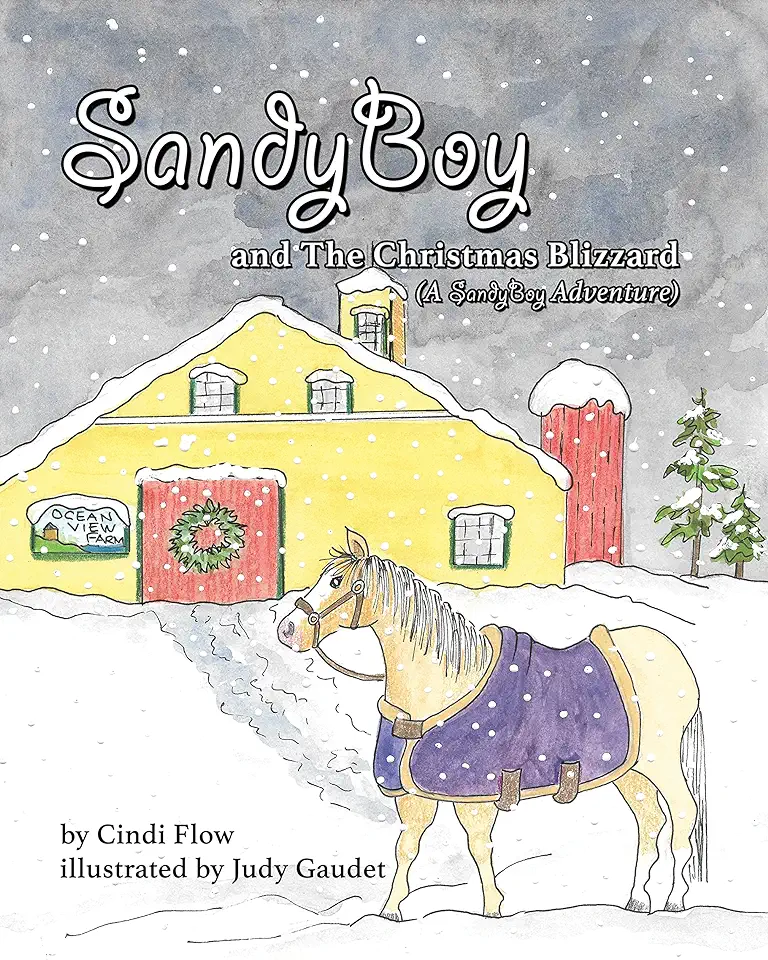 SandyBoy and the Christmas Blizzard (A SandyBoy Adventure)
