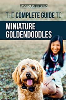 The Complete Guide to Miniature Goldendoodles: Learn Everything about Finding, Training, Feeding, Socializing, Housebreaking, and Loving Your New Mini