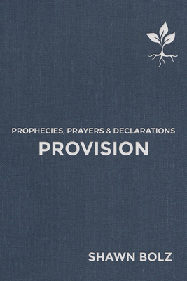 Provision, Volume 2: Prophecies, Prayers & Declarations