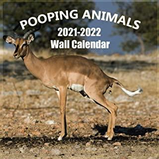 Pooping Animals 2021-2022 Wall Calendar: Hilarious Gag Gift with 18 High Quality Pictures of Domestic and Wild Animals Pooping