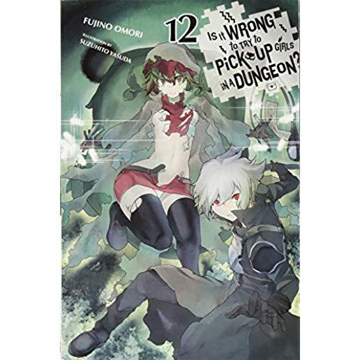 Is It Wrong to Try to Pick Up Girls in a Dungeon?, Vol. 12 (Light Novel)