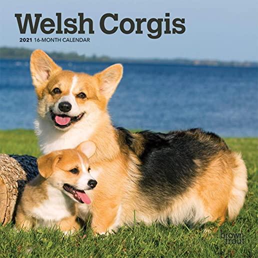 Welsh Corgis 2021 Mini 7x7