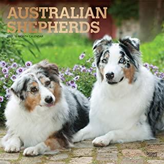 Australian Shepherds 2021 Square Foil