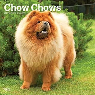 Chow Chows 2021 Square