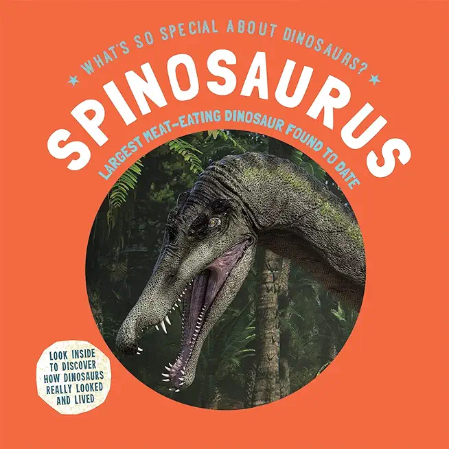 Spinosaurus: Largest Meat-Eating Dinosaur Found to Date