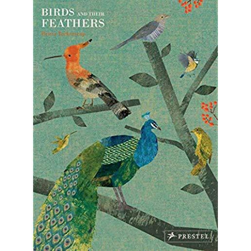 Birds and Their Feathers