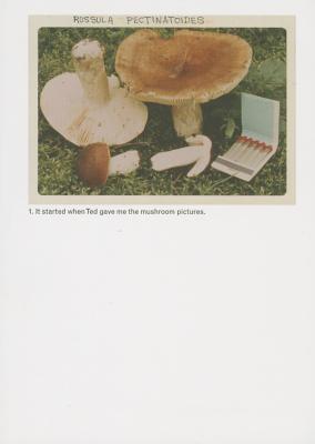 Jason Fulford: The Mushroom Collector