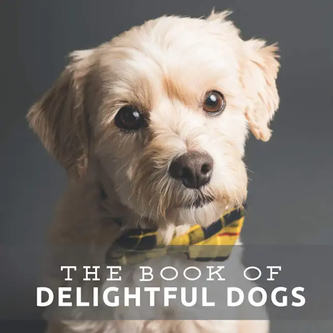The Book of Delightful Dogs: Picture Book For Seniors With Dementia (Alzheimer's)