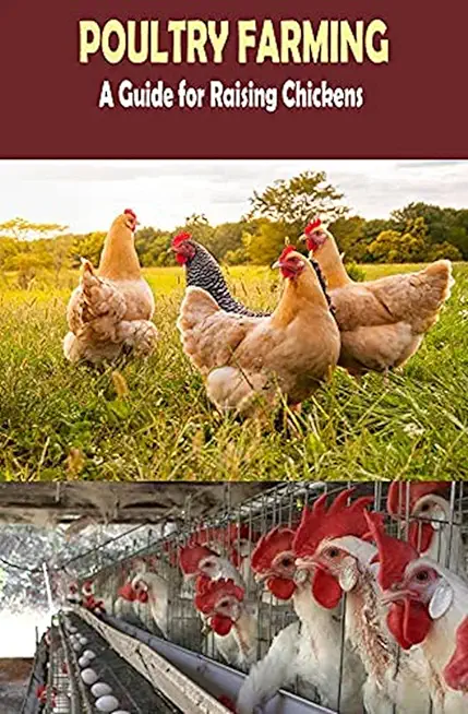 The Complete Guide of Poultry Farming: Eggs Production, Raising Chickens
