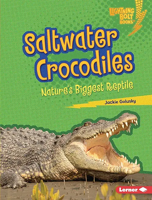 Saltwater Crocodiles: Nature's Biggest Reptile